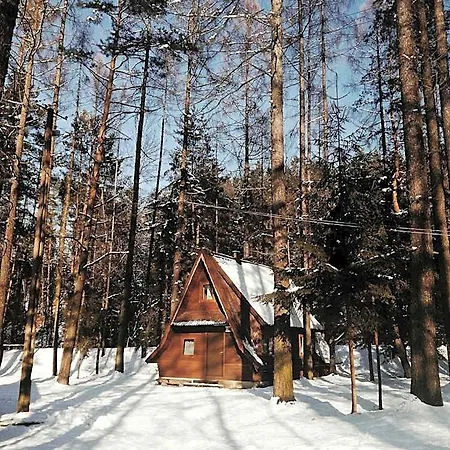 Jordanova * Golkowice Dolne